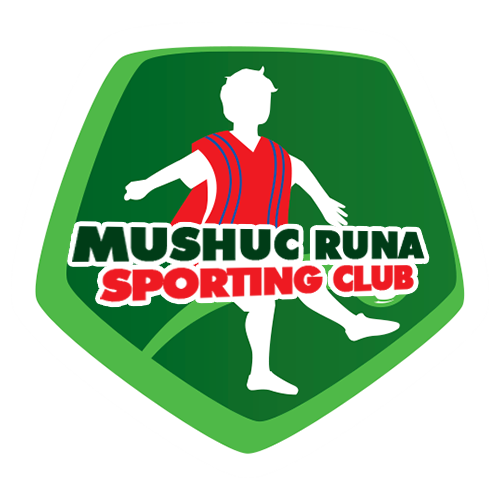 https://img.yuhouchuqing.com/img/football/team/f84d3c03b83f445cb752a403995e0a11.png